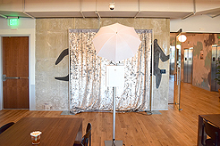 FRESH LOOK REAL ESTATE LAUNCH EVENT